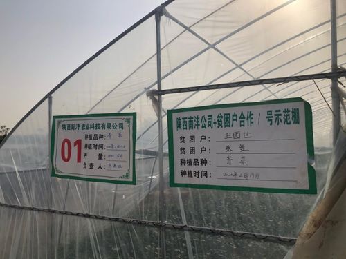 三方協同加碼，以技術轉讓與咨詢助推脫貧攻堅